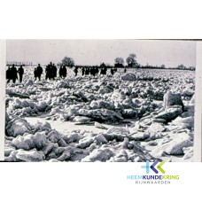Winter op de Rijn F00001611